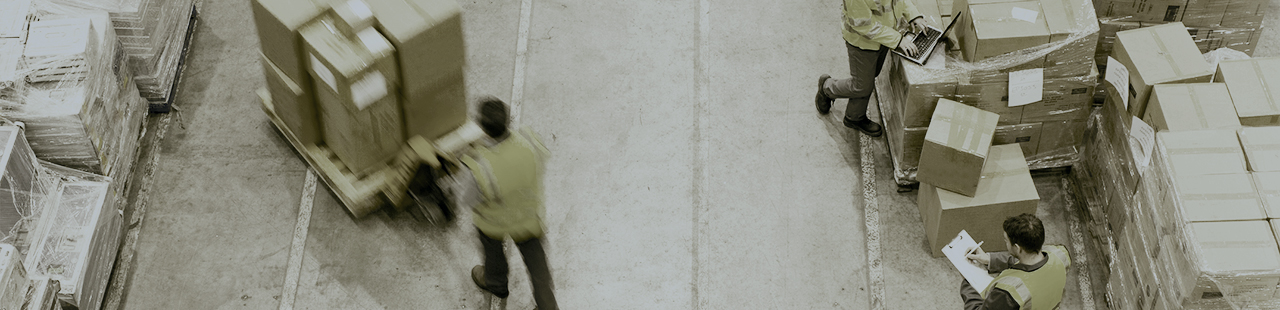 K Line Logistics Staff